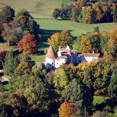 Chateau Des Martinanches Saint-Dier-d'Auvergne Exterior photo