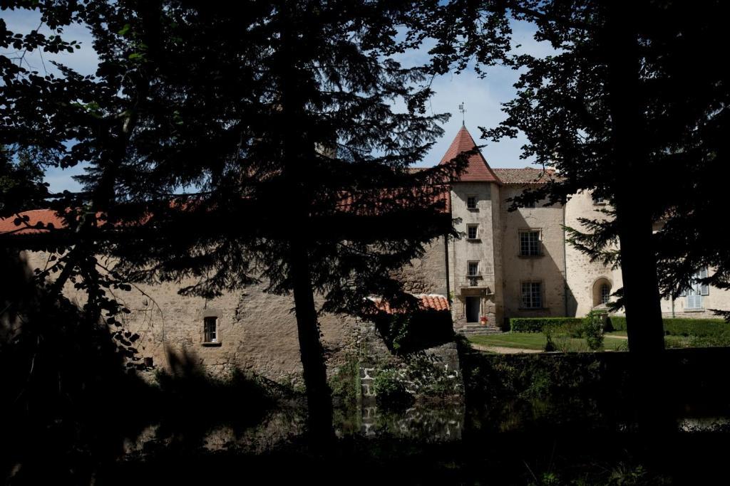 Chateau Des Martinanches Saint-Dier-d'Auvergne Exterior photo
