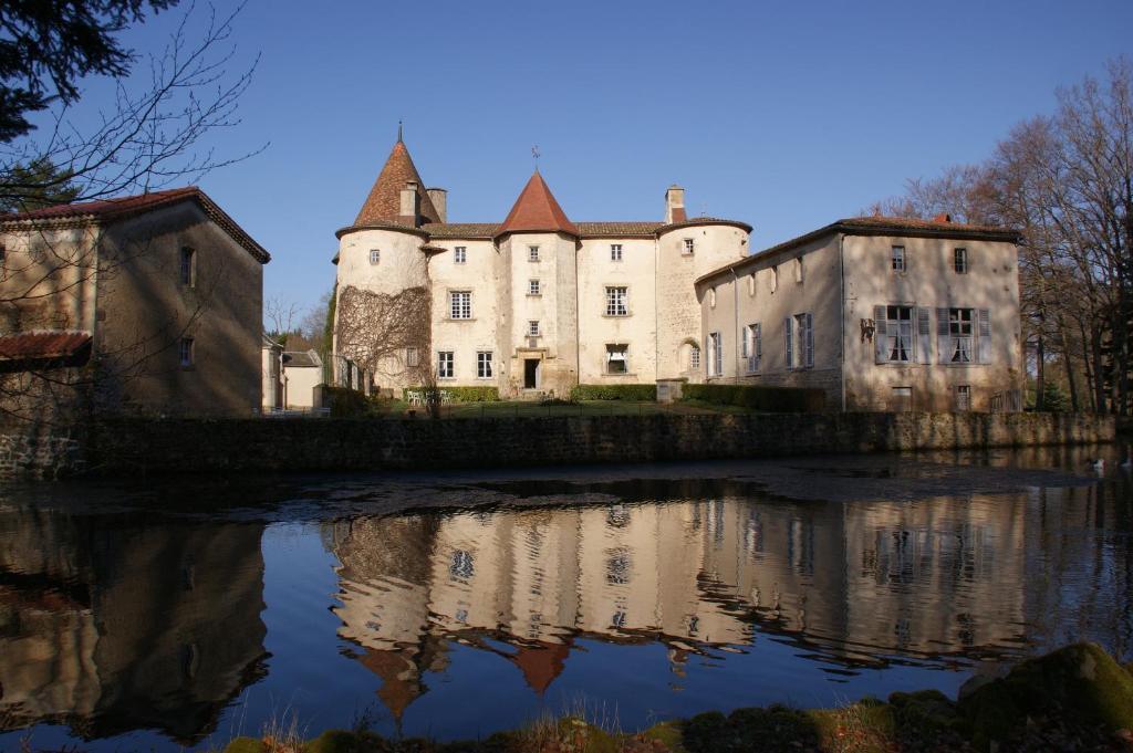 Chateau Des Martinanches Saint-Dier-d'Auvergne Exterior photo